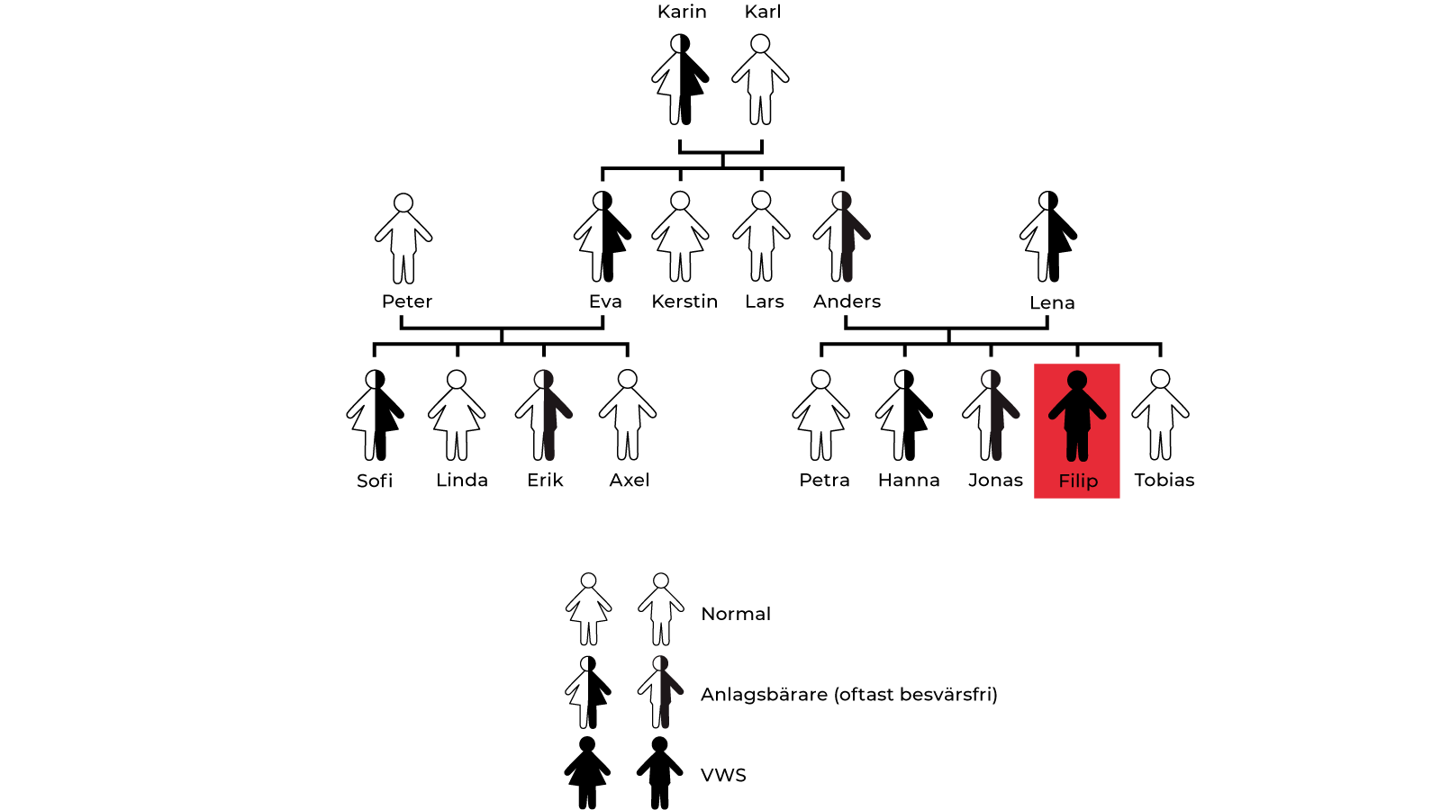 transparent family tree big