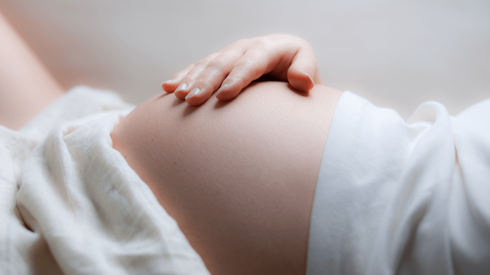 Gravid