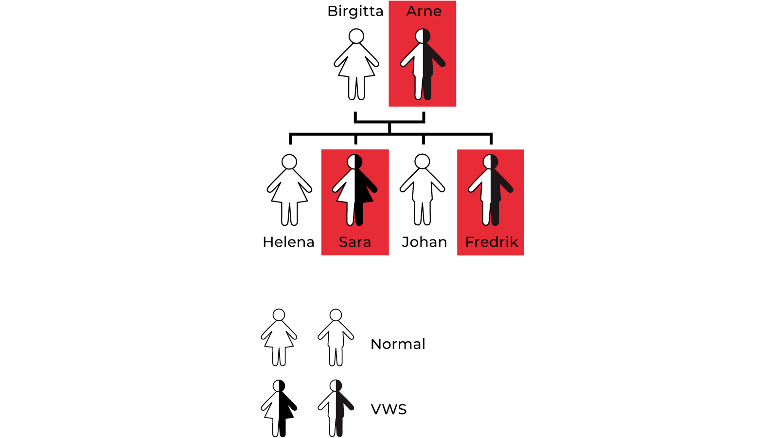 transparent family tree small