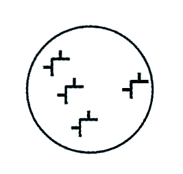 Onormal von